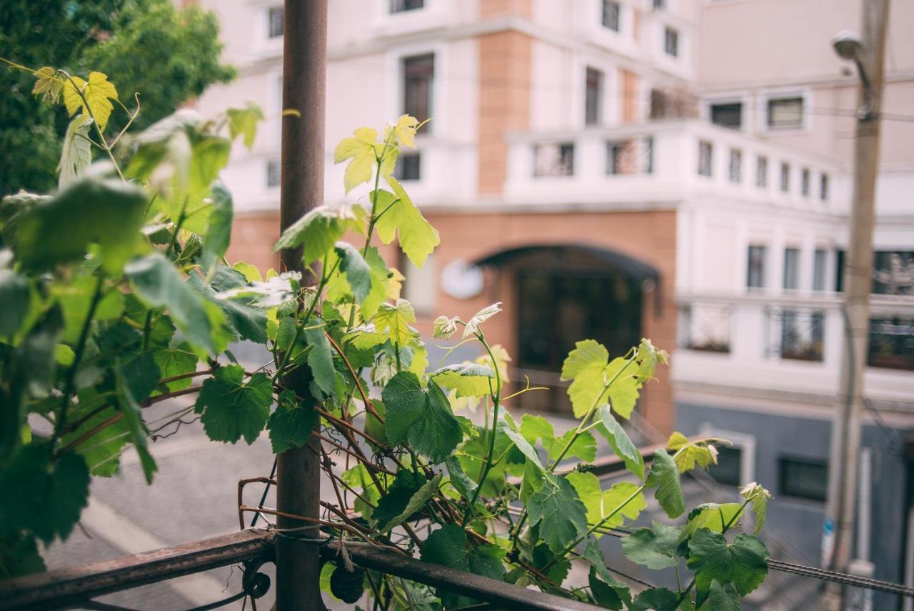 Walk Everywhere! Tbilisi Ngoại thất bức ảnh